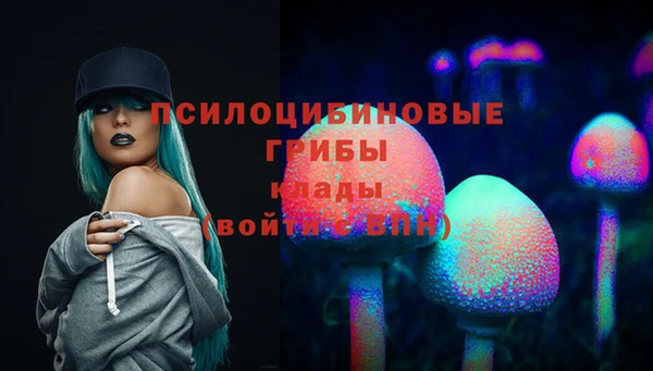 ешки Абинск