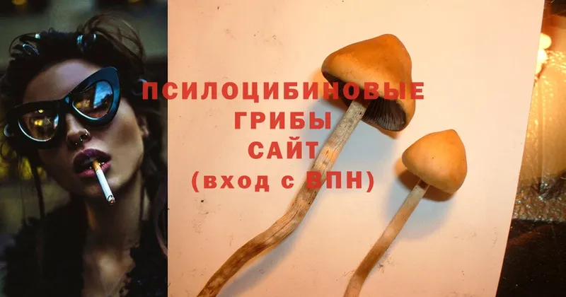 Галлюциногенные грибы MAGIC MUSHROOMS  Бирюсинск 