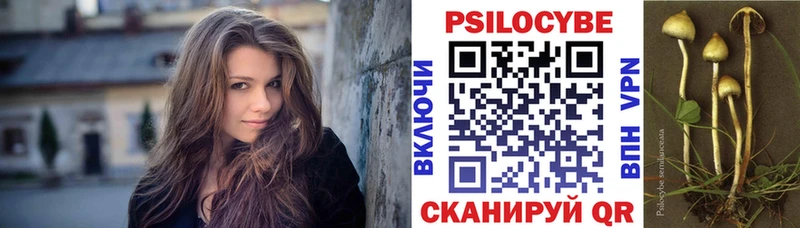 Псилоцибиновые грибы Psilocybe  Бирюсинск 